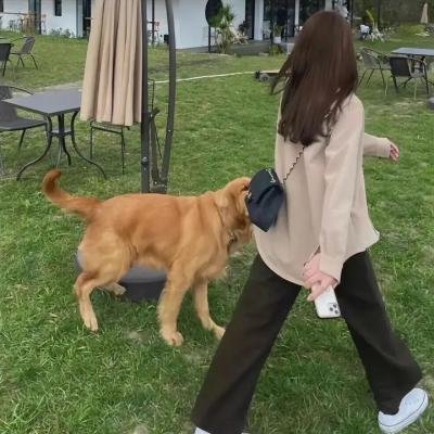 奉命还珠